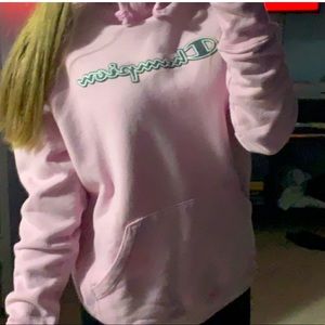 light pink champion sweatshirt